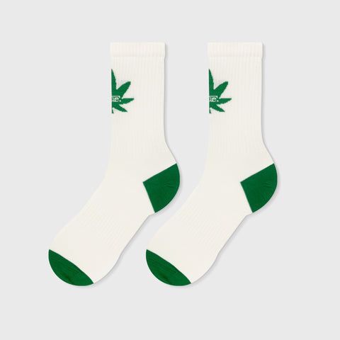 True X Herb Socks - Ivory