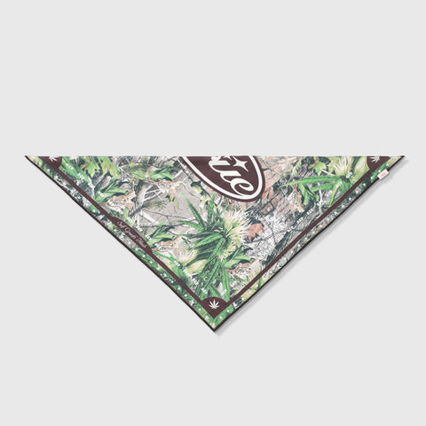 Self Growth Bandana - Brown