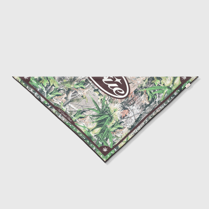 Self Growth Bandana - Brown